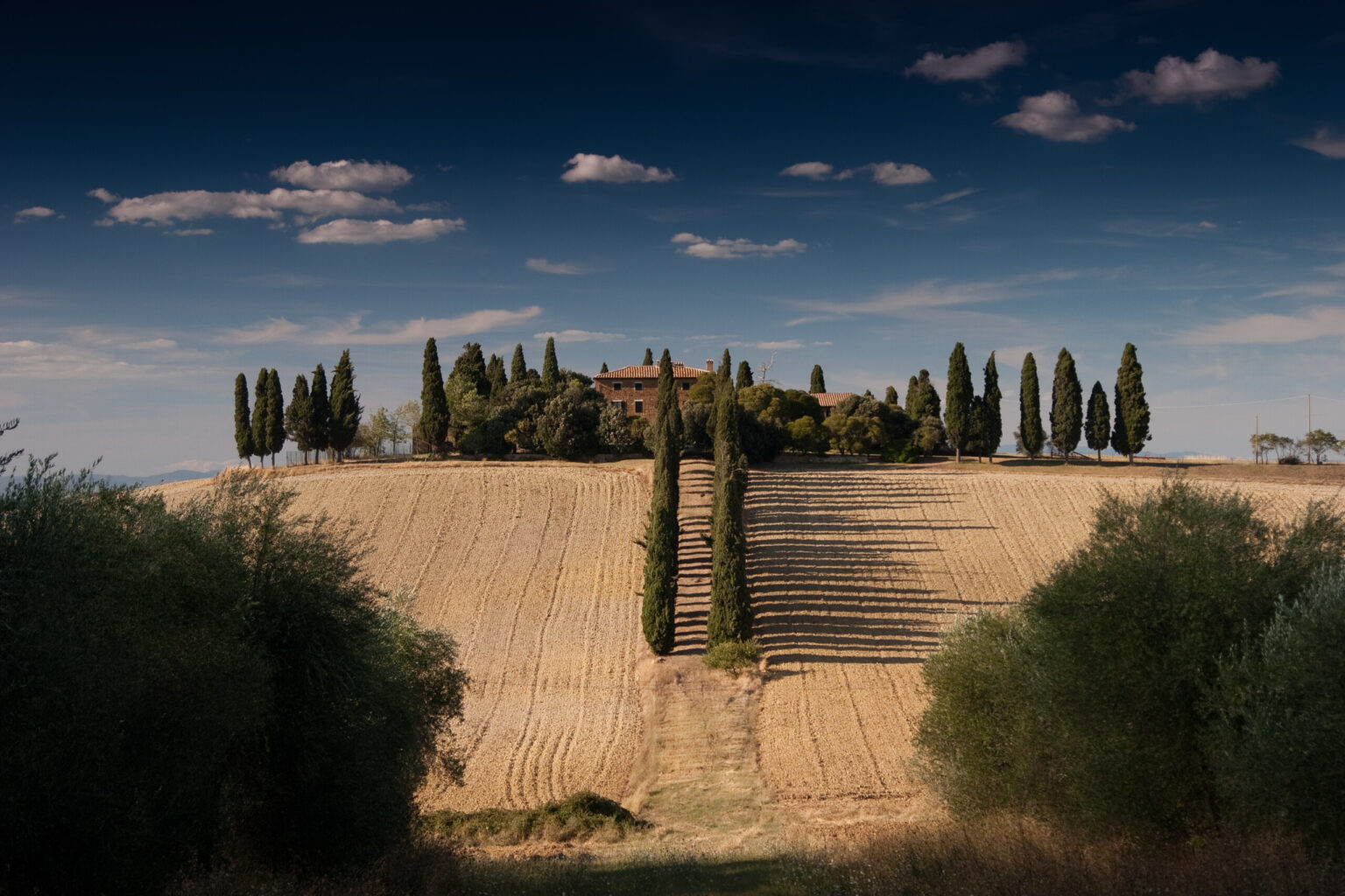 Servizio di vendita