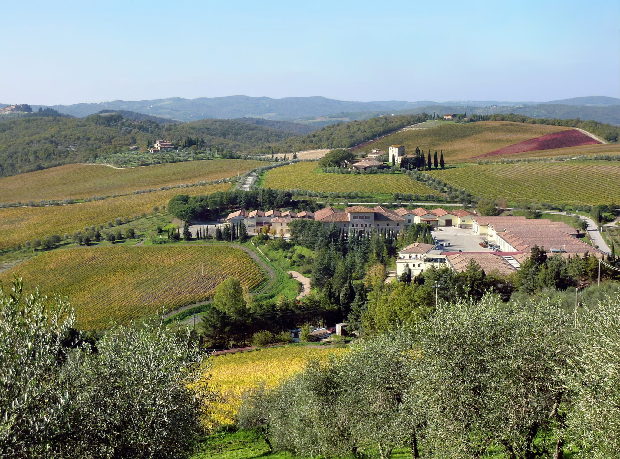 Tenuta Vigna Alta